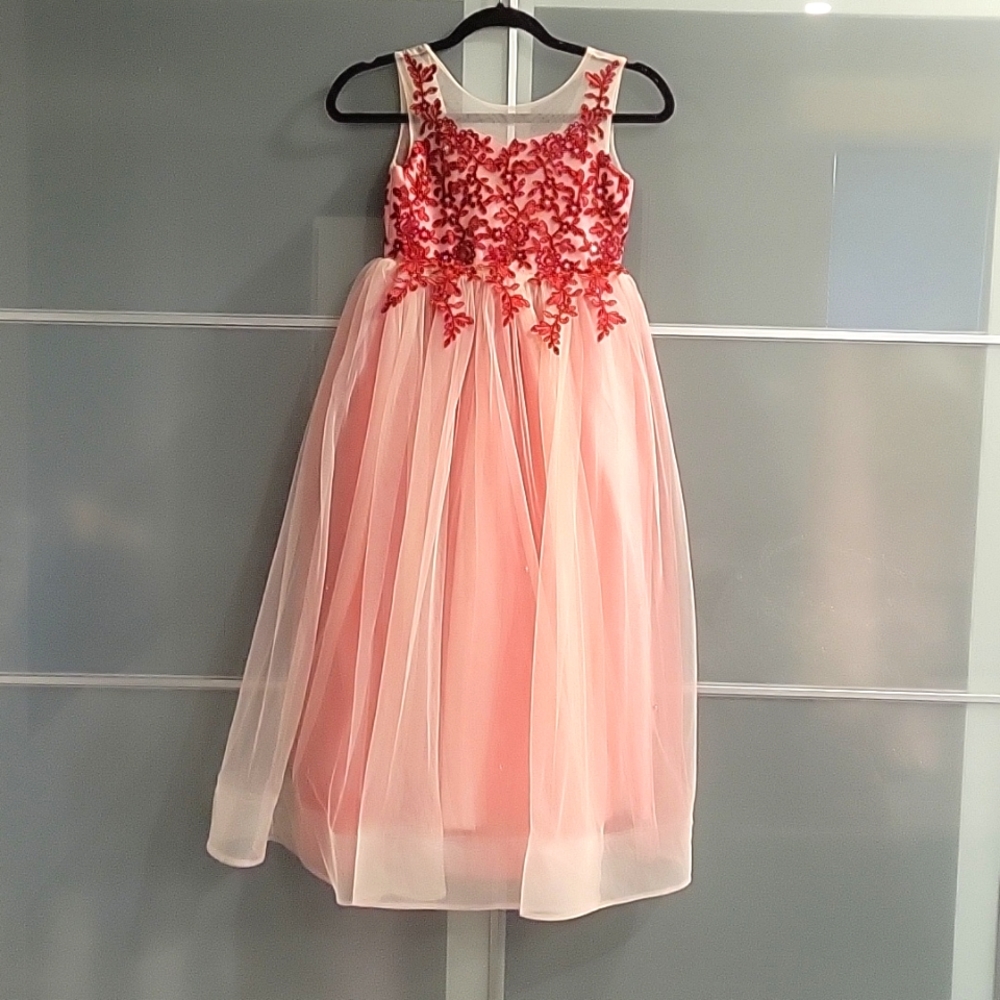 Pageant/Party/Flower girl dress